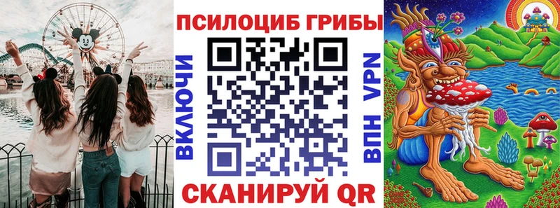 закладки  Новодвинск  OMG ССЫЛКА  Псилоцибиновые грибы MAGIC MUSHROOMS 